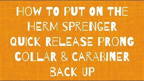 Herm Sprenger Quick Release Prong Collar How to Fit