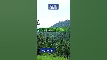 تلاوة خاشعة استخدموا الصوت #اكسبلور #دويتو #duet #تيك_توك #لايك #جديد #ترند #دعاء #قرآن أسمع وأنشر