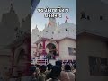 રાજાધિરાજ ડાકોરનાથ❗#dakor #dwarka #dwarika #dwarkadhish #dwarikadham #dwarkesh #shorts #trending
