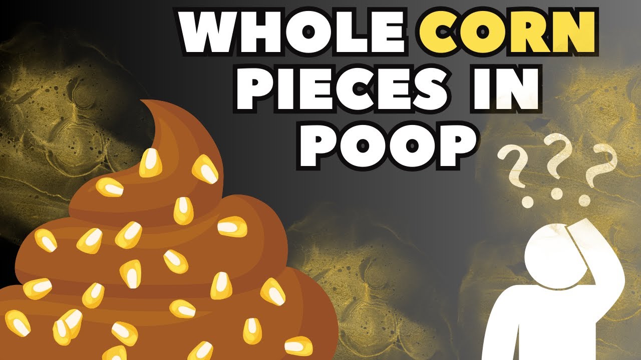 Why Is The CORN In Your POOP Still Whole? YouTube