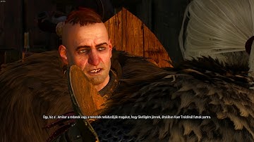 The Witcher 3 visual bug [Flashing circles & squares]