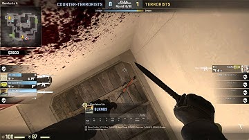 CS:GO goose[x5] | de_mirage 1tap