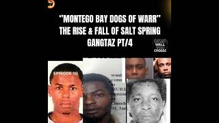 Download Lagu SALT SPRING DOGS OF WARR 4 GERADO LICK DUNG 5 ONE TIME \u0026 CH0P OFF HIM HEAD \u0026 DASH IT FRONT IH CHURCH MP3