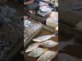 rasullapur bazar fish market fish 🐠🐟🐠 top fish market, new fish market fishমাছের বাজার part3#petshub