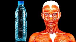 Nếu chỉ uống nước trong suốt 20 ngày thì chuyện gì sẽ xảy ra với cơ thể con người