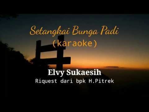 Setangkai Bunga Padi Karaoke Elvy Sukaesih Youtube