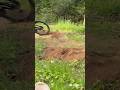 Backyard edit