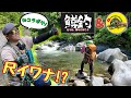 【渓流釣り】鱒釣CHさんとコラボ釣行で尺イワナ!!