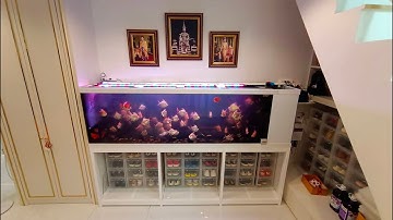 Prince เยาวราช - ดูหน้างานวางแผนติดตั้งตู้ปลาใบใหม่ เปลี่ยนจาก 108 กรองข้าง "ชั้นเดียวเป็น 2 ชั้น"