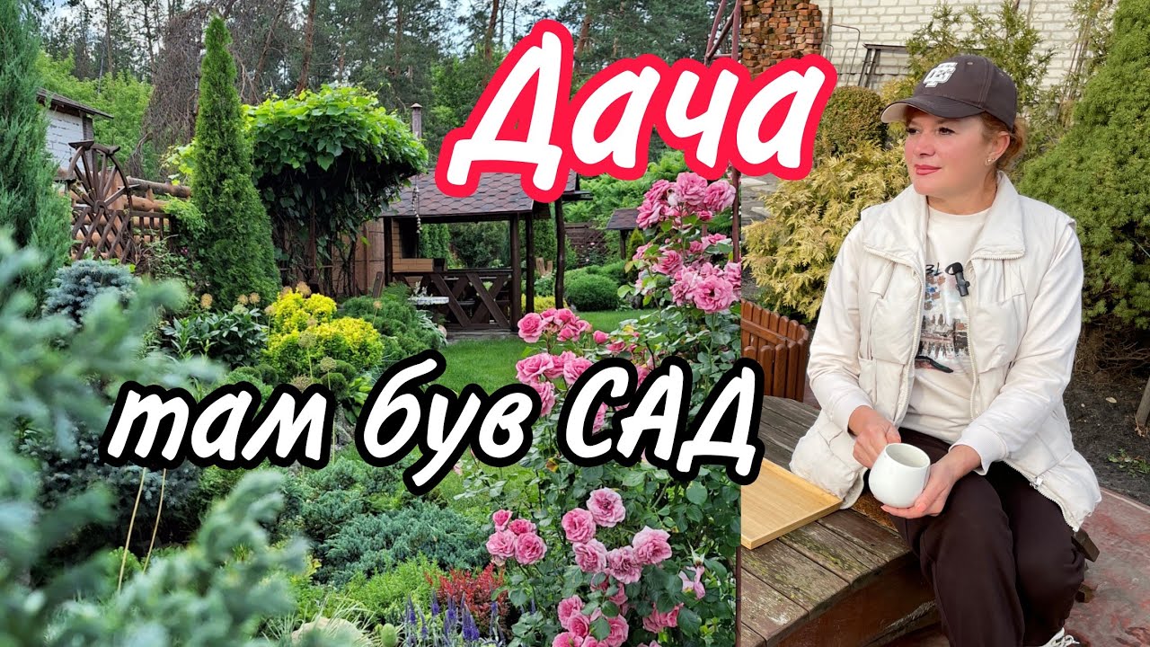 ДАЧА.Там був САД. А тепер...