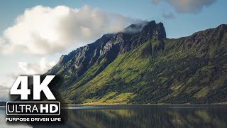 Soft Piano Music for Fast Sleeping | Deep Sleeping Music | Beautiful Relaxing Music screenshot 5