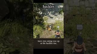 hackles — Divinity: Original Sin 2 dialogue scene