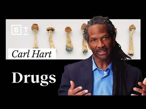 “Drug use is your birthright” | Dr. Carl Hart
