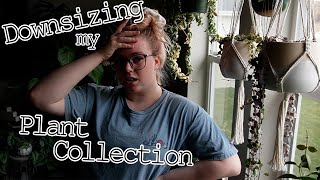 The Toxic Attitude of Collecting MORE Houseplants | PlanTEA