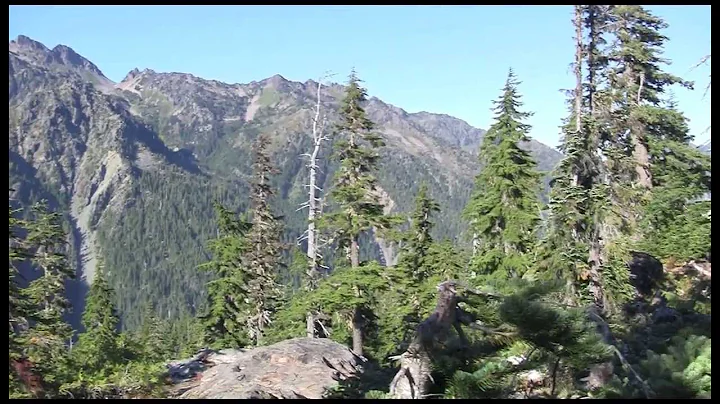 Hike to Mildred Lakes in the Olympic Mountains -- One Challenging Trail
