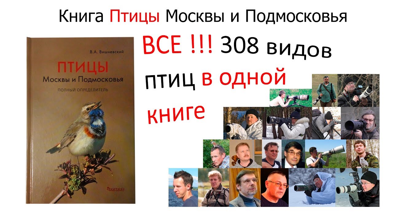 Вишневский птицы. Птицы Москвы и Подмосковья книга. Птицы Подмосковья книга.