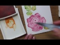 Easy watercolor technique with rose Wonder Stampin' Up!