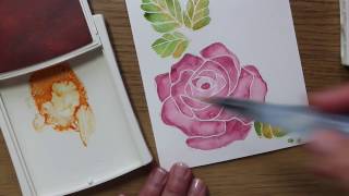 Easy watercolor technique with rose Wonder Stampin' Up!