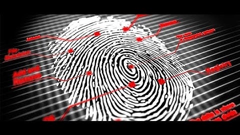 Profiler - Den Serienkillern auf der Spur (Doku)