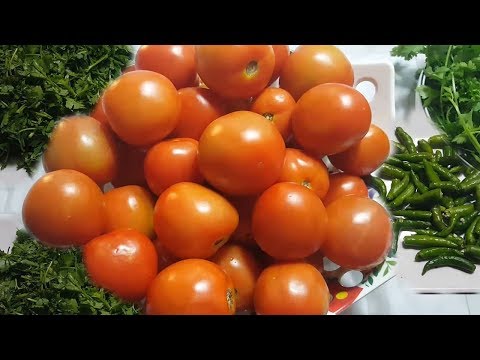 বছরজুরে  টমেটো,কাচাঁ মরিচ ও ধনে পাতা  একসাথে সংরক্ষণ পদ্ধতি II How to Store Tomatoes for months