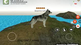 Gioco dei lupi parte 2 : la cosa veloce che dopo  fare cose che sifano screenshot 5