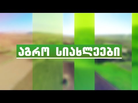 აგრო სიახლეები - 2 (მერვე სეზონი)