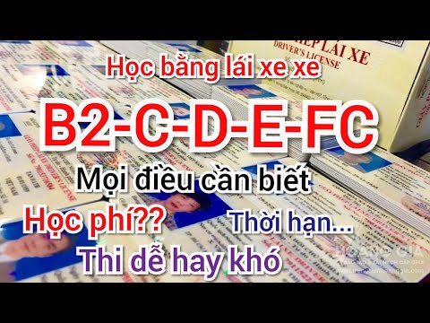 Video học bằng lái xe B2,C,D,E,F mọi cần phải biết-thi dễ... - YouTube