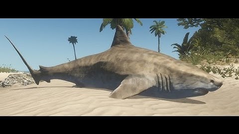 Stranded Deep - Killing A Tiger Shark