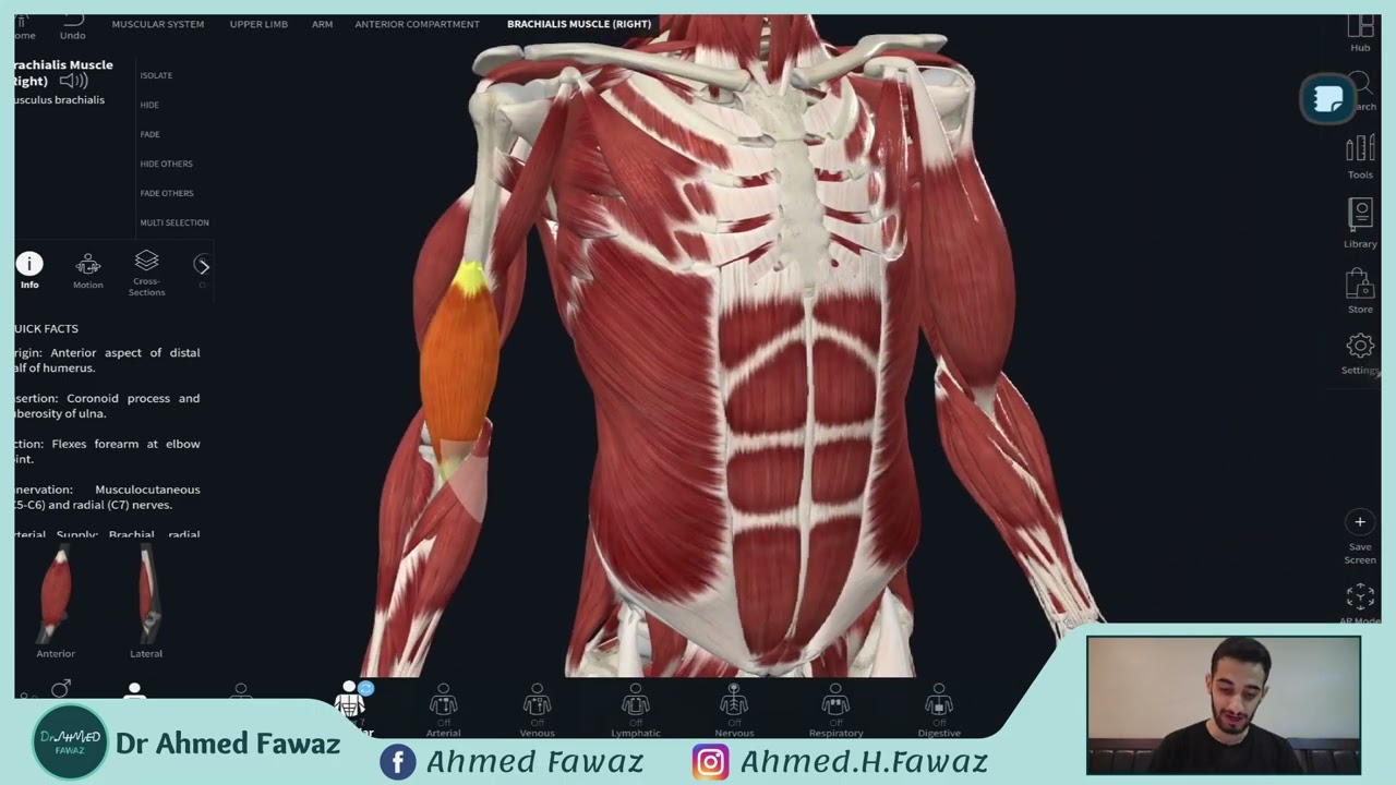 التشريح العام | الفصل الثاني _ العظام والمفاصل - المفاصل 3