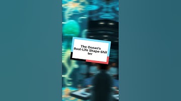 Octopuses Rewrite Their Genes in Real Time—Science Can’t Explain!