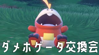 【ポケモンSV】ダメっぽいホゲータ交換会【にじさんじ/葉加瀬冬雪】