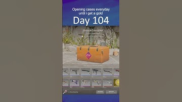Opening Cases everyday until I unbox a gold | Day 104 #cs2 #caseopening