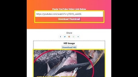 Youtube Thumbnail Viewer: Download 2022