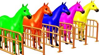 Learning Kids Colors With 3D Horse Surprise Car Tires Wheels Colors Educational Nursery Rhymes Video