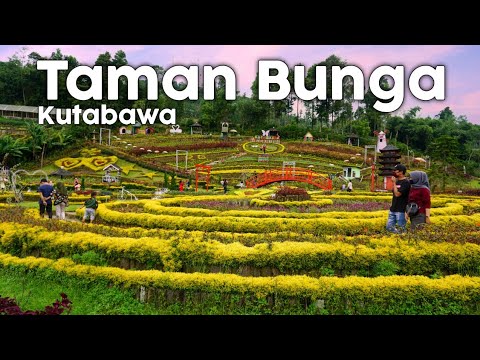  Taman Bunga Kutabawa  Purbalingga New Normal YouTube