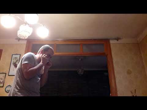 პირველი შეხება ჰარმონიკასთან