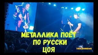 Группа Metallica на концерте в «Лужниках» спела песню Виктора Цоя «Группа крови». Группа Metallica на концерте в «Лужниках» спела песню Виктора Цоя «Группа крови».
