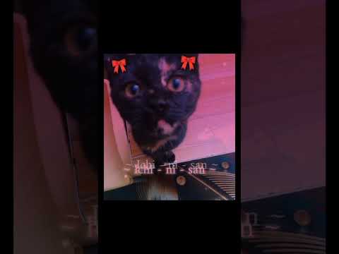 حييي الله أم البلبي صرصورة