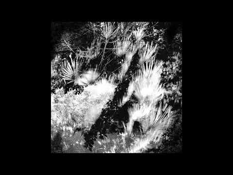 edanticonf---stars-1-(artefakt-remix)-[lm007]