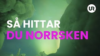 Så Hittar Du Norrsken - Sverige Forskar