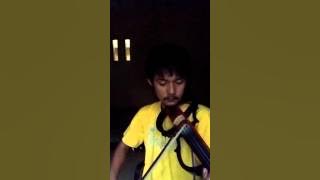We Will Not Go Down Cover Violin Abilintang
