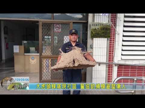 20200906 08 大虎頭蜂窩現社區 警協助捕蜂避螫傷人