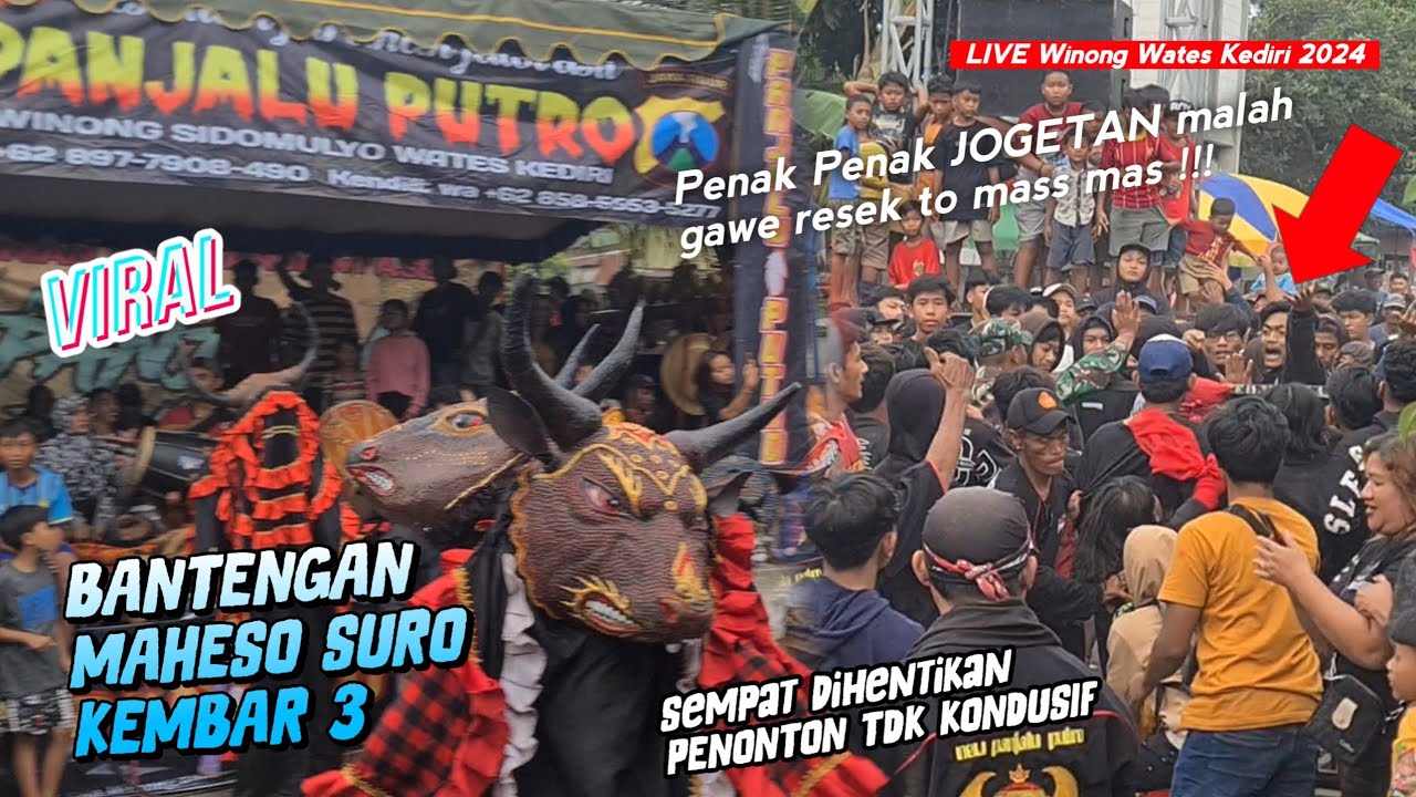 WAYAH DJANDUTAN GEG3R G3DEENN !! Dihentikan Karna Tdk Kondusif ! Bantengan Jaranan NEW PANJALU PUTRO