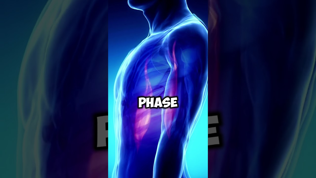 miracle seed benefits 