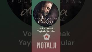 Volkan Konak - Yarim Hasretin Tuttu Beni - Yaylada Kuzular