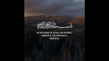Surah Al-Masad (The Palm Fiber) | Qari Omar Basheikh | سورة المسد