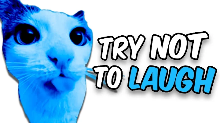 Try Not To Laugh #2!!! (NASHIRANKS EDITION)