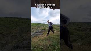 Kartala Bari Acı Keloğlan