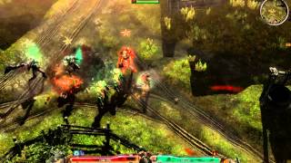 Grim Dawn B22 Burrwitch Portal clearing