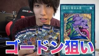 【遊戯王】まさかのパックが売ってた！強欲で貪欲に欲しい。